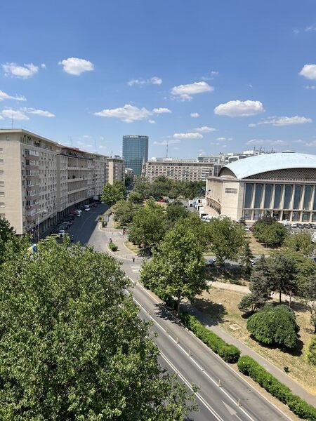 Cismigiu, Sala Palatului