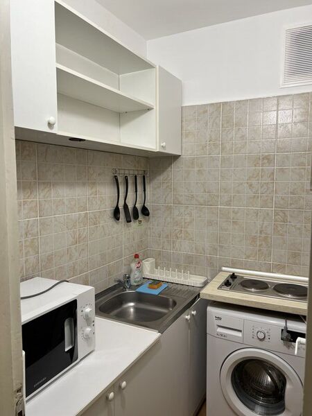 Cismigiu, Sala Palatului